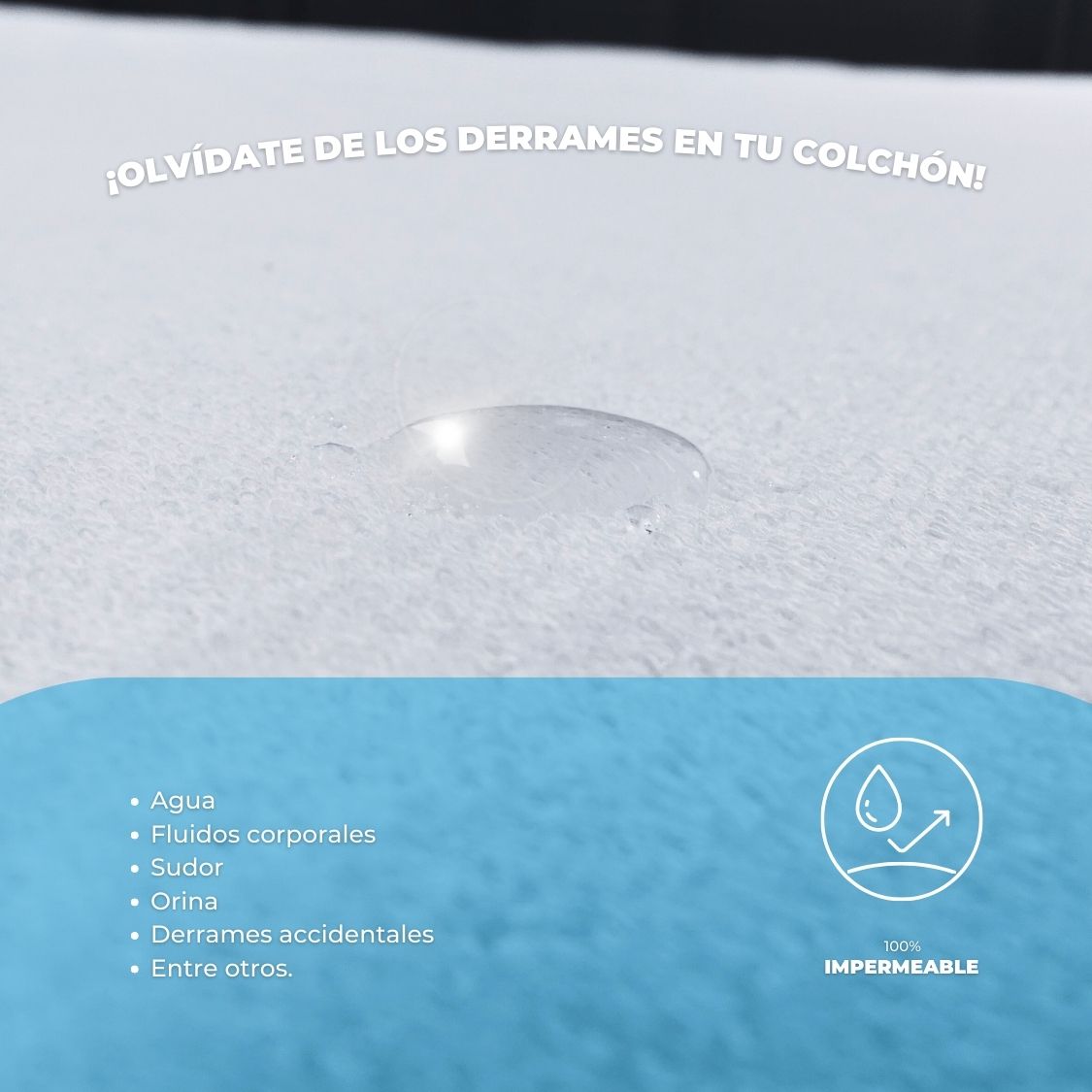 Protector de colchón impermeable Classic Home